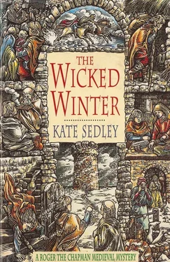 Kate Sedley The Wicked Winter обложка книги