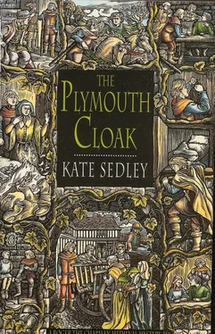 Kate Sedley The Plymouth Cloak обложка книги