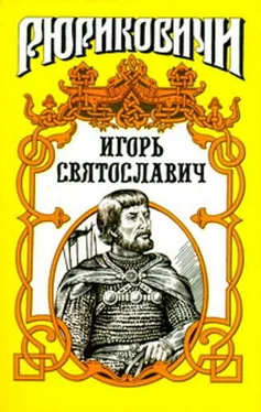 Виктор Поротников Игорь Святославич обложка книги