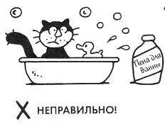 НЕПРАВИЛЬНО Если вы не хотите пасть жертвой кошачьей поножовщины лучшее - фото 20