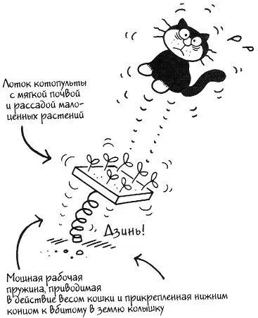 ПРОБЛЕМА КОШАЧЬИХ ЛЕЖАНОК При наличии выбора кошка непременно устроится - фото 31