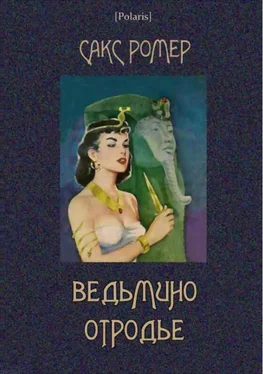 Сакс Ромер Ведьмино отродье обложка книги