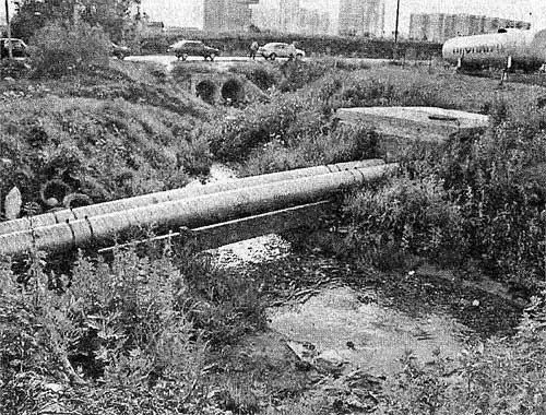 Рис 61 Вторая московская река Сосенка на северовостоке Москвы Снимок сделан - фото 61