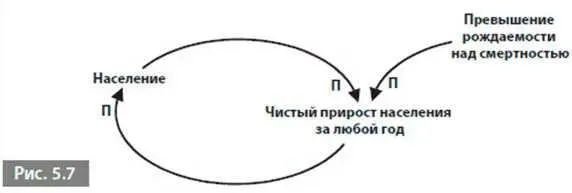 Звенья скорости объясняют почему петли могут демонстрировать не только рост - фото 32