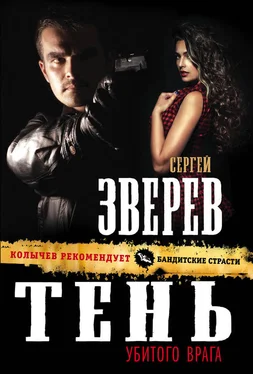 Сергей Зверев Тень убитого врага обложка книги