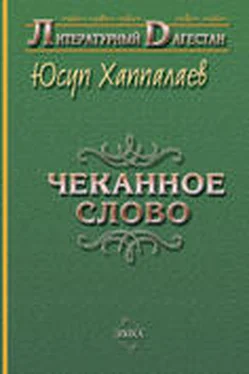 Юсуп Хаппалаев Чеканное слово обложка книги