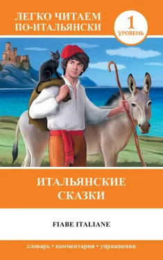 Анелия Ибарбия Итальянские сказки / Fiabe Italiane обложка книги