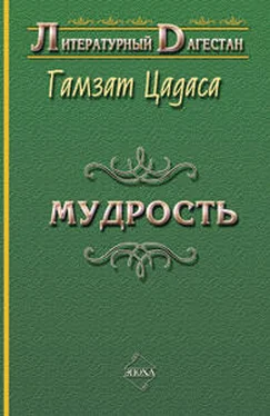 Гамзат Цадаса Мудрость обложка книги