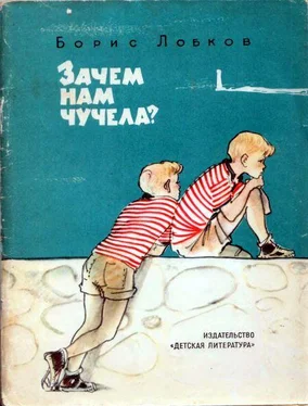 Борис Лобков Зачем нам чучела? обложка книги