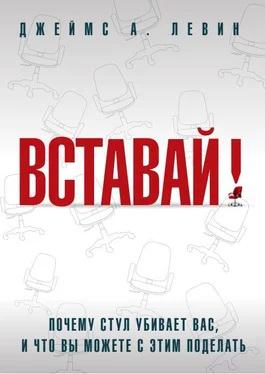 Джеймс Левин Вставай! Почему стул убивает вас, и что вы можете с этим поделать обложка книги