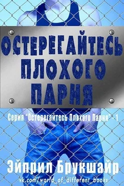 Эйприл Брукшайр Остерегайтесь плохого парня (ЛП) обложка книги