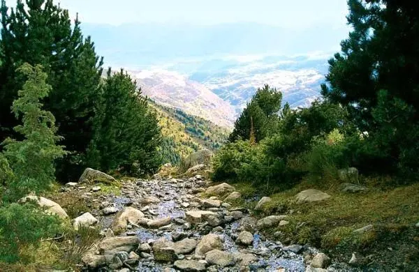 Рекане вода Река Гвадалквивир Самые длинные реки Испании - фото 19