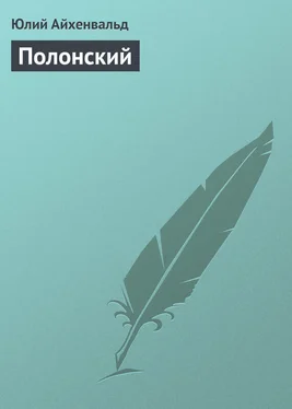 Юлий Айхенвальд Полонский обложка книги