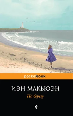 Иэн Макьюэн На берегу обложка книги