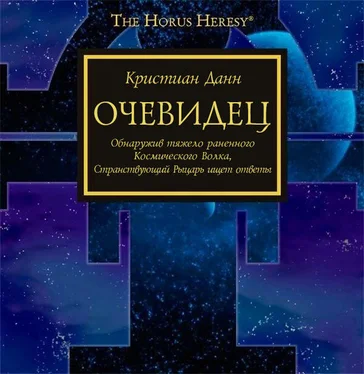 Кристиан Данн Очевидец обложка книги