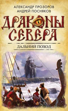 Андрей Посняков Дальний поход обложка книги