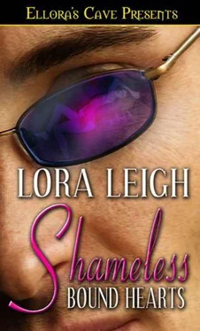 Lora Leigh Shameless обложка книги