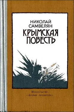 Николай Самвелян Крымская повесть обложка книги