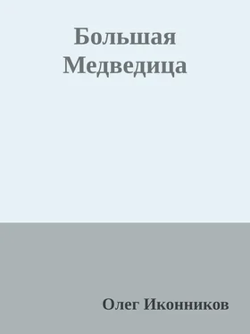 Олег Иконников Большая Медведица обложка книги