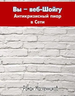 Роман Масленников Вы – веб-Шойгу. Антикризисный пиар в Сети обложка книги