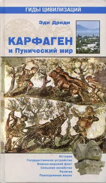 Эди Дриди Карфаген и Пунический мир обложка книги