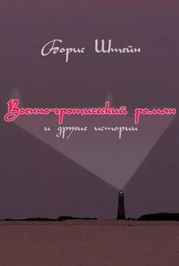 Борис Штейн Военно-эротический роман и другие истории обложка книги