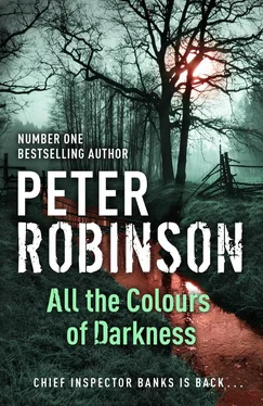 Peter Robinson All the Colors of Darkness обложка книги