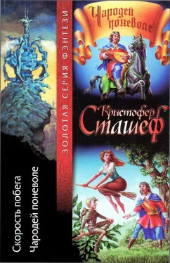 Кристофер Сташеф Скорость побега. Чародей поневоле обложка книги