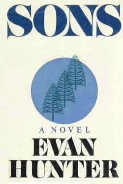 Evan Hunter Sons обложка книги