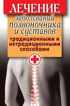 Дарья Нестерова Лечение заболеваний позвоночника и суставов традиционными и нетрадиционными способами обложка книги