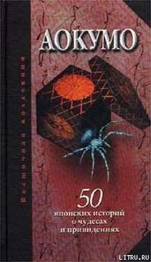 Екатерина Рябова (сост.) Аокумо - Голубой паук. 50 японских историй о чудесах и привидениях обложка книги