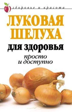 Dar`ya Nesterova Lukovaya sheluha dlya zdorov`ya: Prosto i dostupno обложка книги