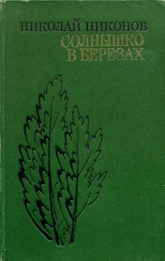 Николай Никонов Солнышко в березах обложка книги