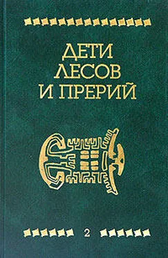 Джеймс Шульц Апок, зазыватель бизонов обложка книги