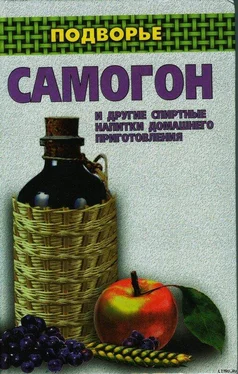 Ирина Байдакова Самогон и другие спиртные напитки домашнего приготовления обложка книги