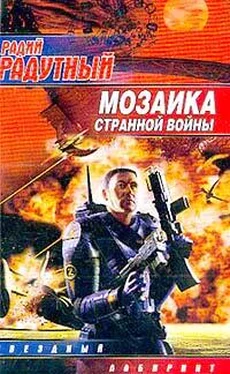 Радий Радутный Мозаика странной войны обложка книги