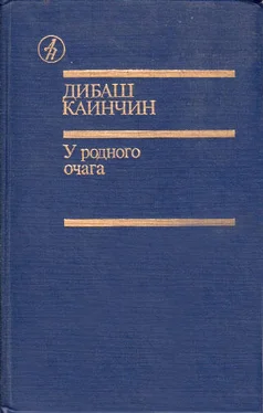 Дибаш Каинчин У родного очага обложка книги