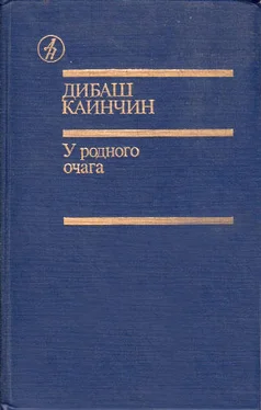 Дибаш Каинчин Крик с вершины обложка книги
