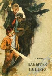 Станислав Мальцев - Забытая пещера