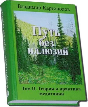 Владимир Каргополов Путь без иллюзий: Том II. Теория и практика медитации обложка книги