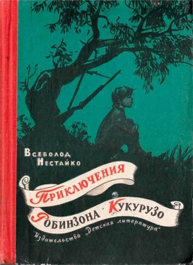 Всеволод Нестайко Приключения Робинзона Кукурузо обложка книги