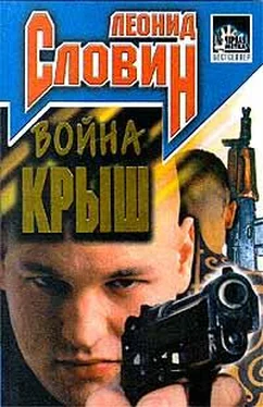 Леонид Словин Война крыш обложка книги