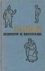 Михаил Воронов - Современный герой