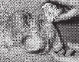 Рис 15 Рис 16 Высушите и обожгите его После обжига заполните посадочные - фото 16