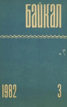 Эдуард Дроздов «Черный Ворон» обложка книги