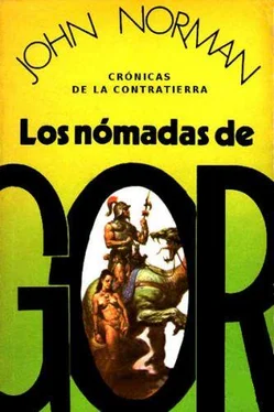 John Norman Los nómadas de Gor обложка книги