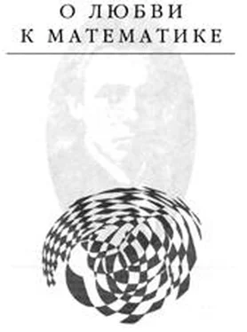 Эдвард Радзинский О любви к математике обложка книги