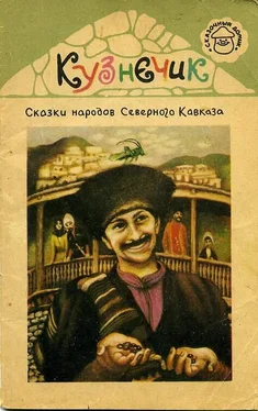 Эпосы, мифы, легенды и сказания Кузнечик. Сказки народов Северного Кавказа обложка книги