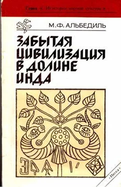 Маргарита Альбедиль Забытая цивилизация в долине Инда обложка книги