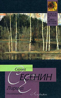 Сергей Есенин Лирика обложка книги